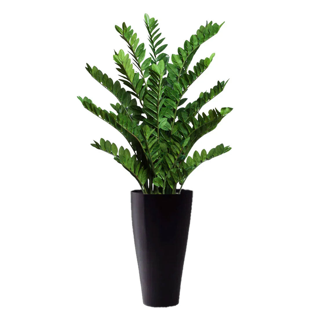 Artificial zamiifolia plant with lush green leaves in a tall black planter, white background