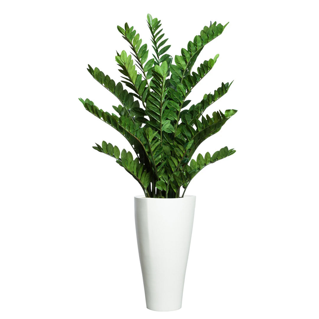 Lifelike Zamiifolia artificial plant in tall modern white planter on white background