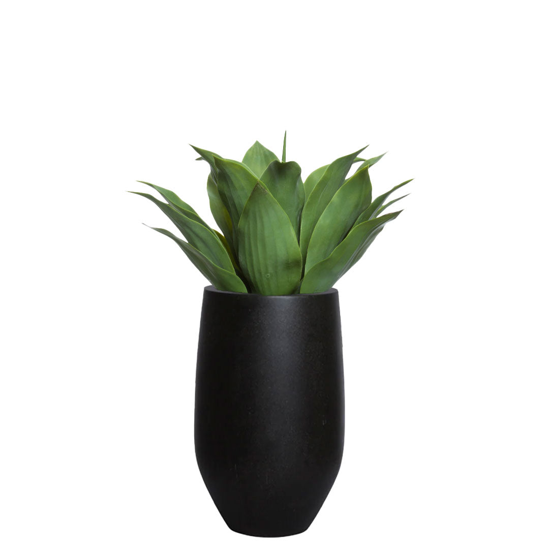Lifelike green agave plant in a modern black tapered planter on white background