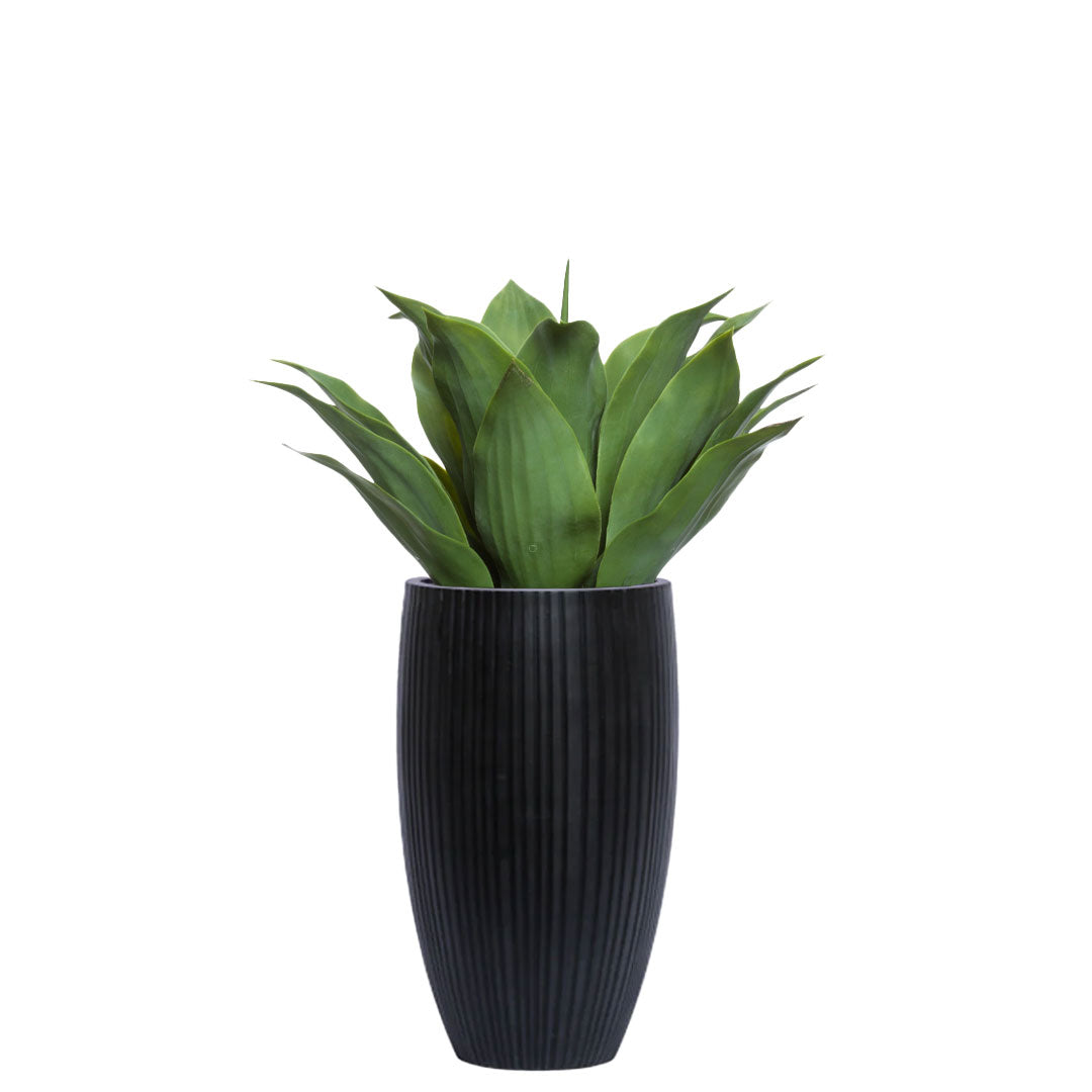 Artificial agave plant in tall black ribbed planter on white background