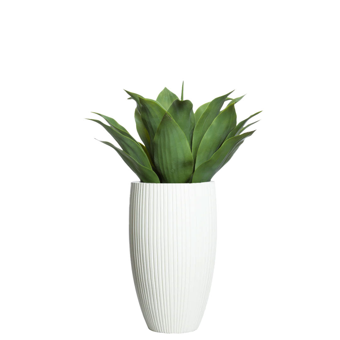 Artificial agave plant in a tall white ribbed ceramic planter on white background