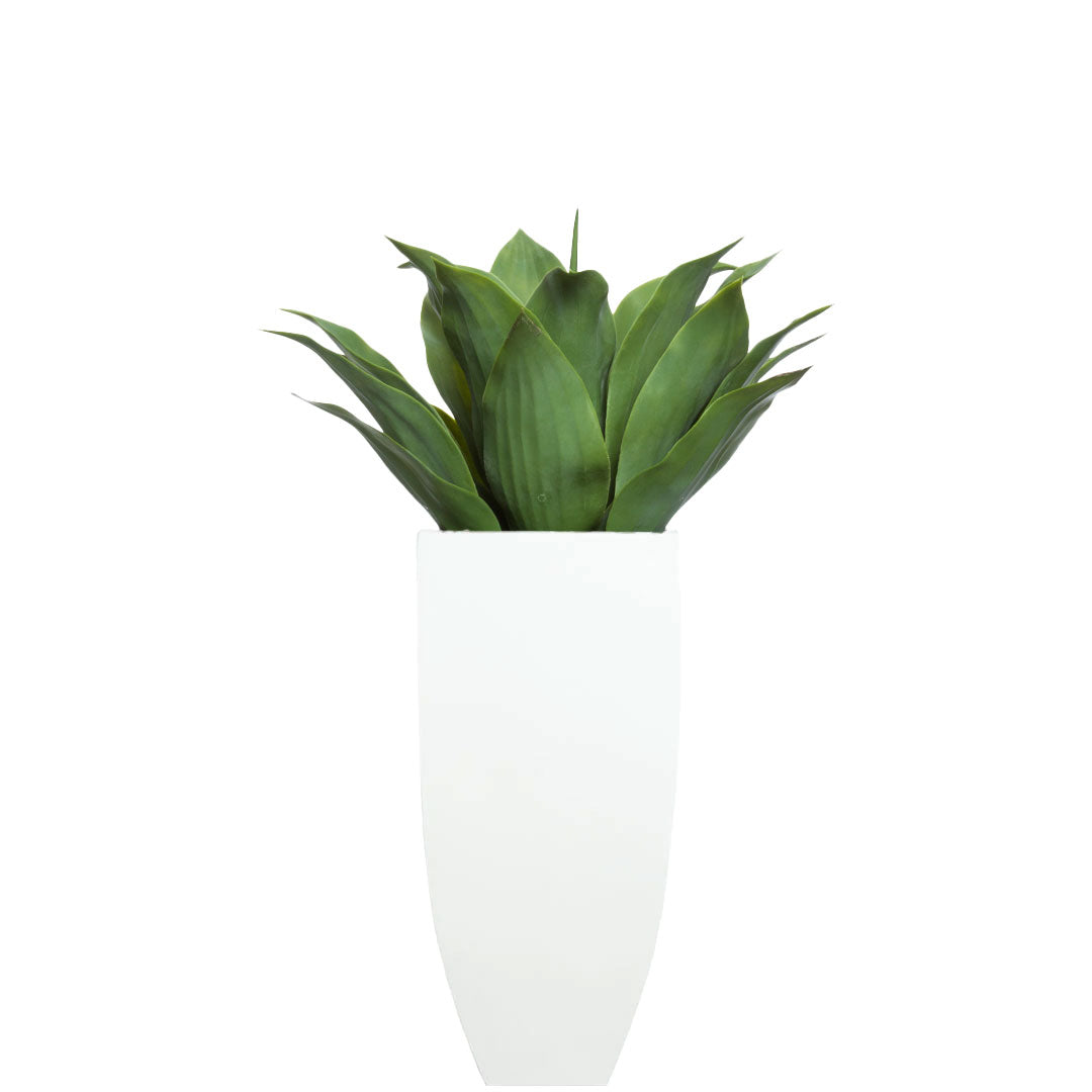 Artificial agave plant in a tall white square planter on a white background