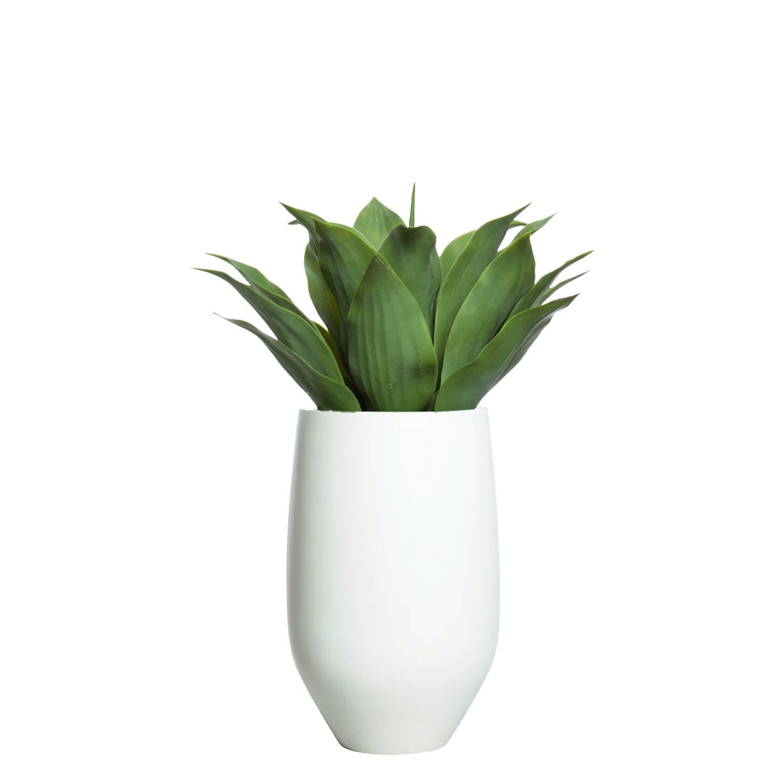 Artificial agave plant in a modern white tapered planter on a white background