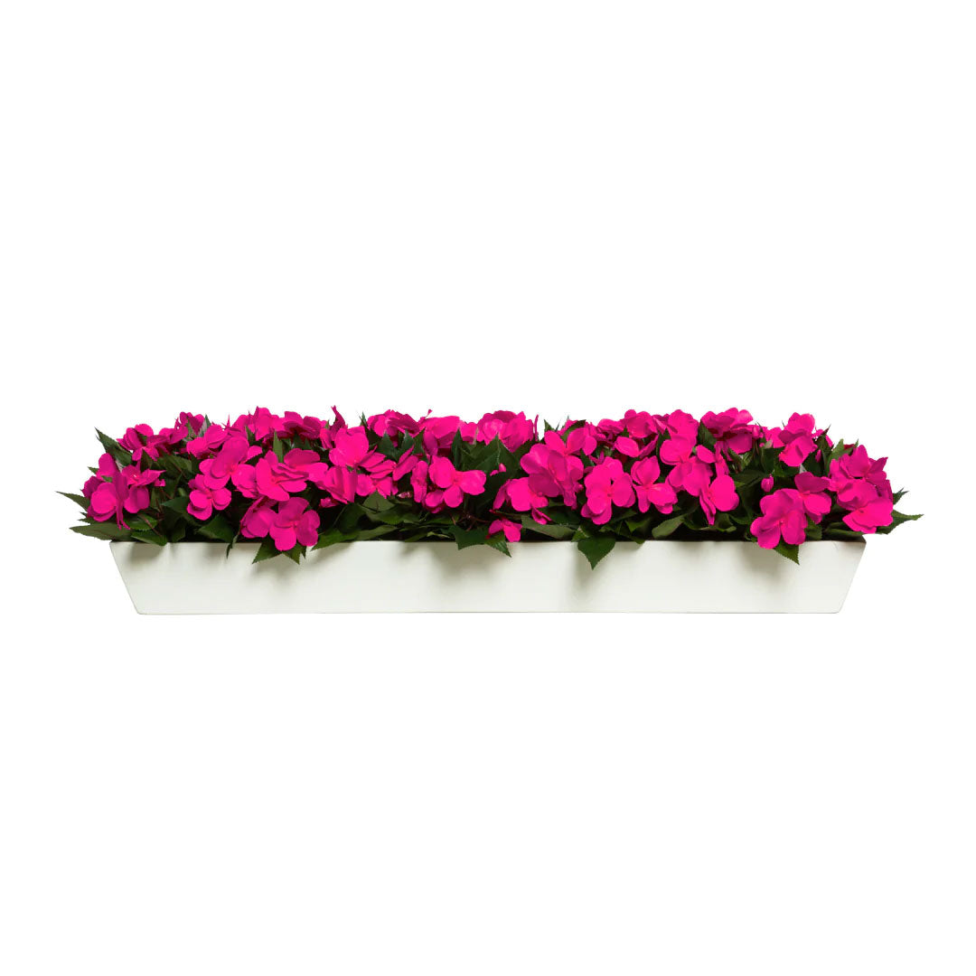 Fuchsia artificial flowers with green leaves in a white rectangular planter, isolated on white background.