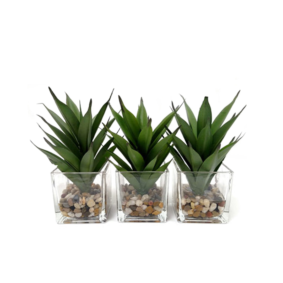 Set of three artificial succulent plants in glass pots with decorative pebbles