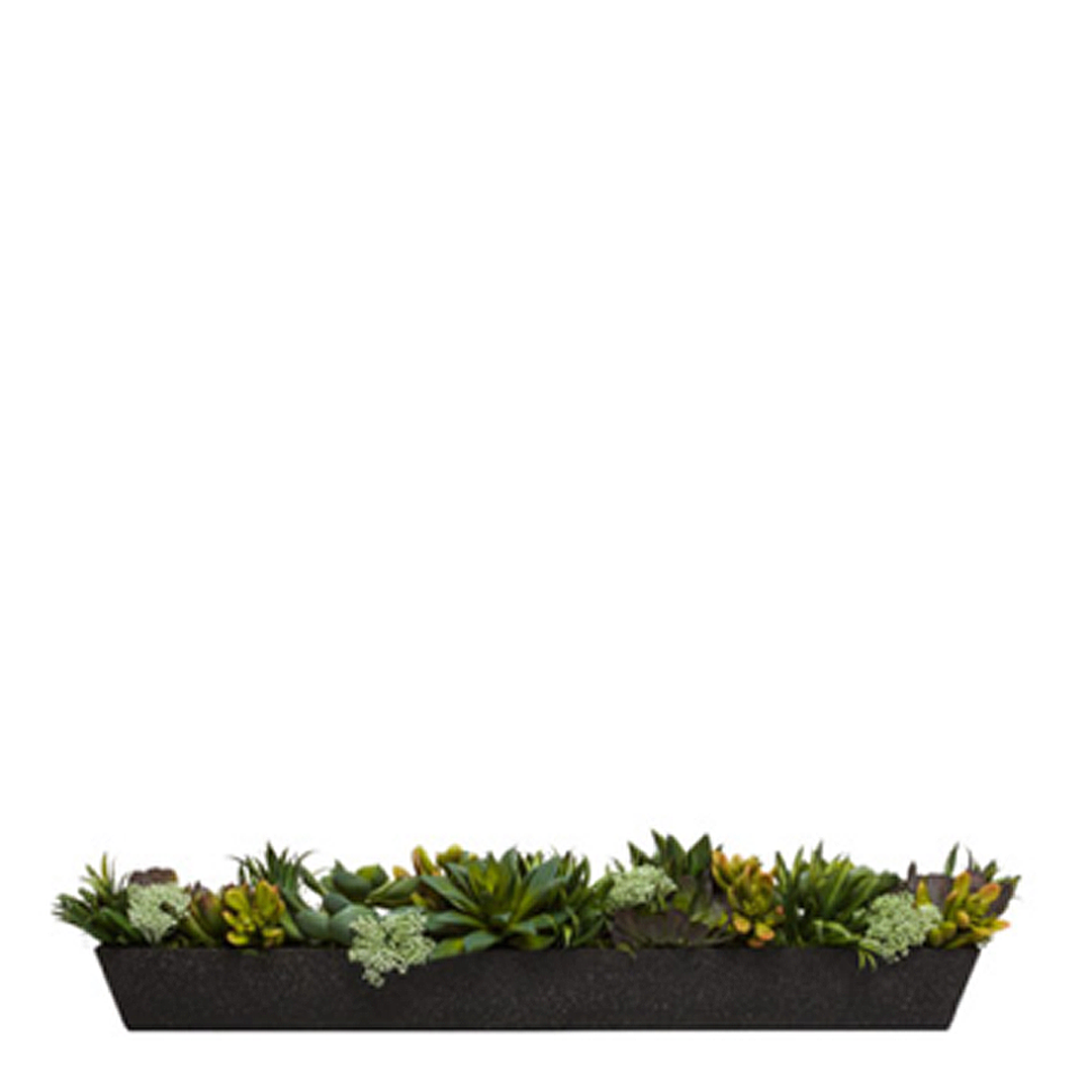 Artificial succulent arrangement in rectangular black planter, realistic faux greenery