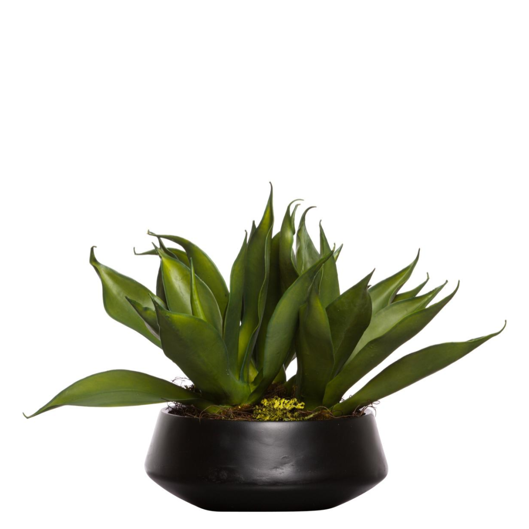 Artificial agave plant with green leaves in a black ceramic pot, isolated on white