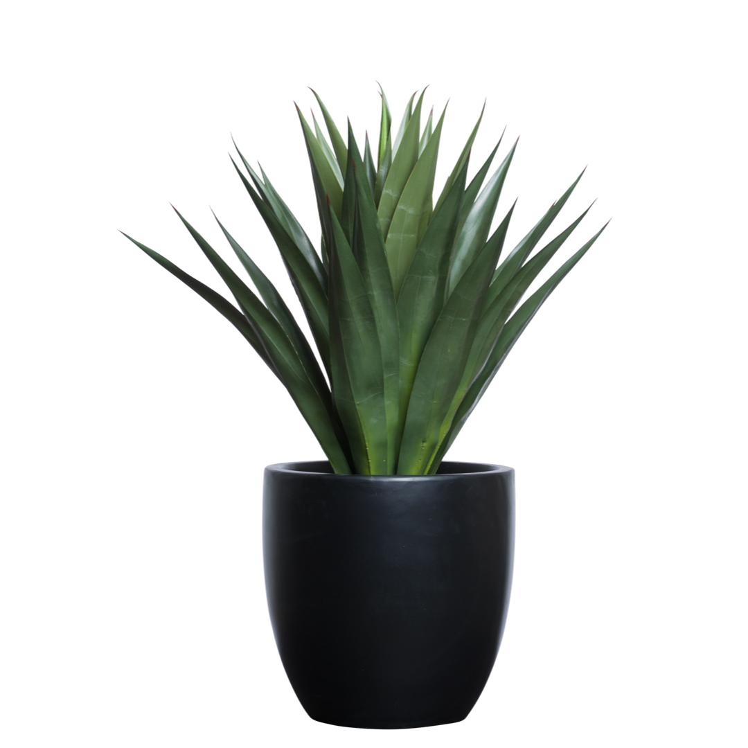 Artificial agave plant with pointed green leaves in a modern black planter on white background