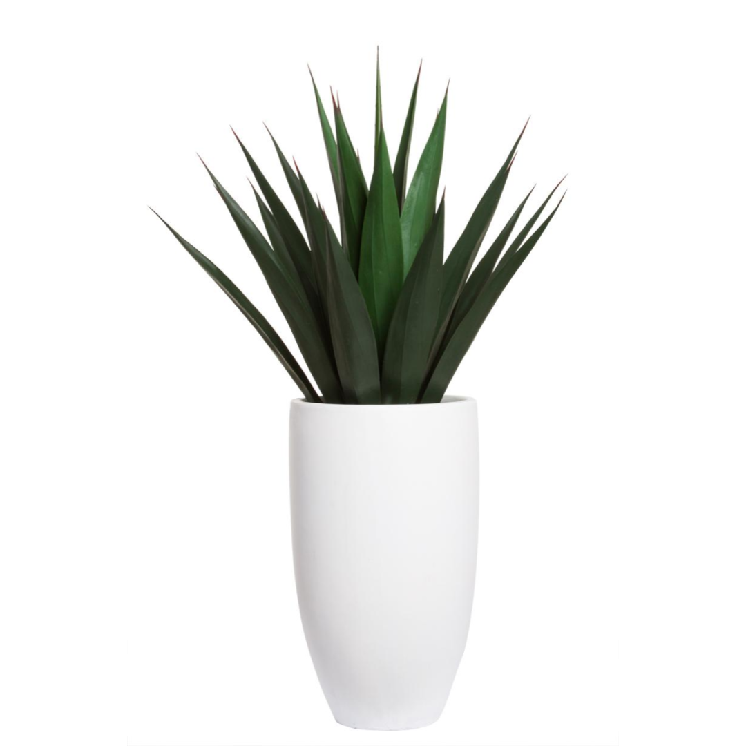 Artificial agave plant in a modern white planter on a white background