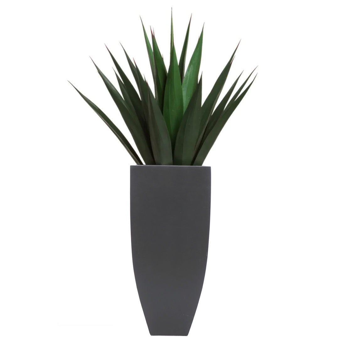 Artificial agave plant in tall modern black planter on white background