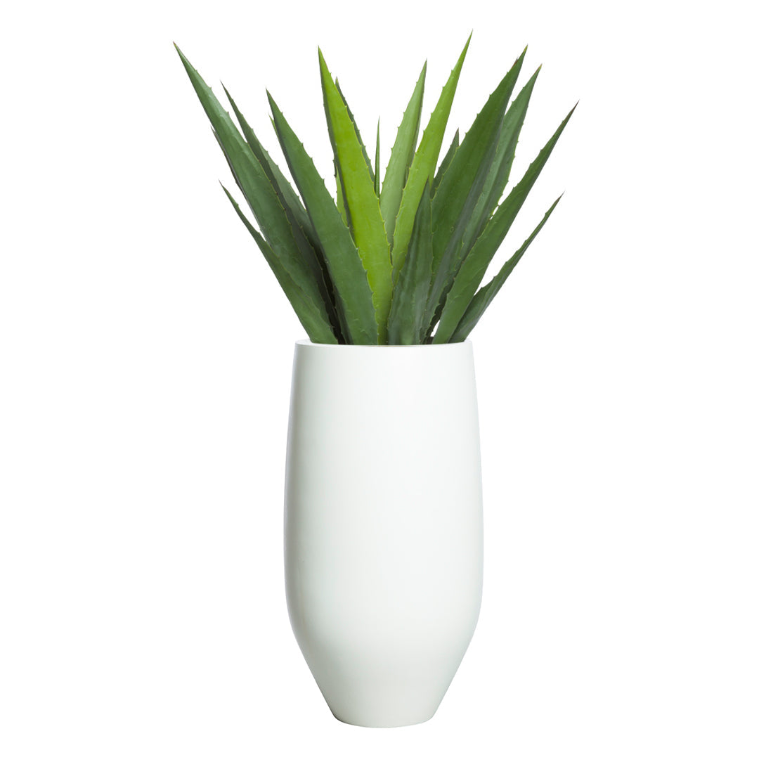 Realistic artificial aloe plant in a tall white ceramic vase on a white background