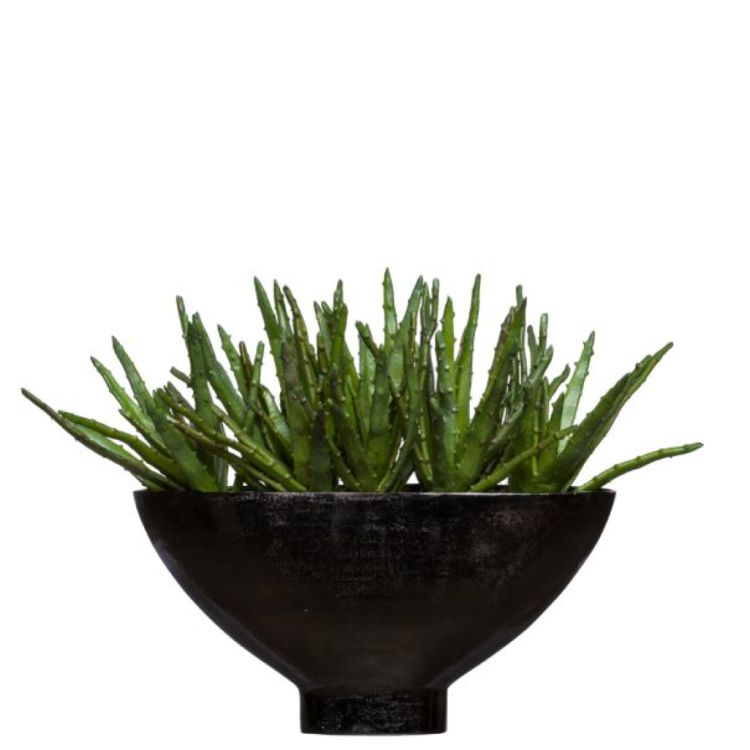 Artificial aloe plant arrangement in a wide black ceramic bowl
