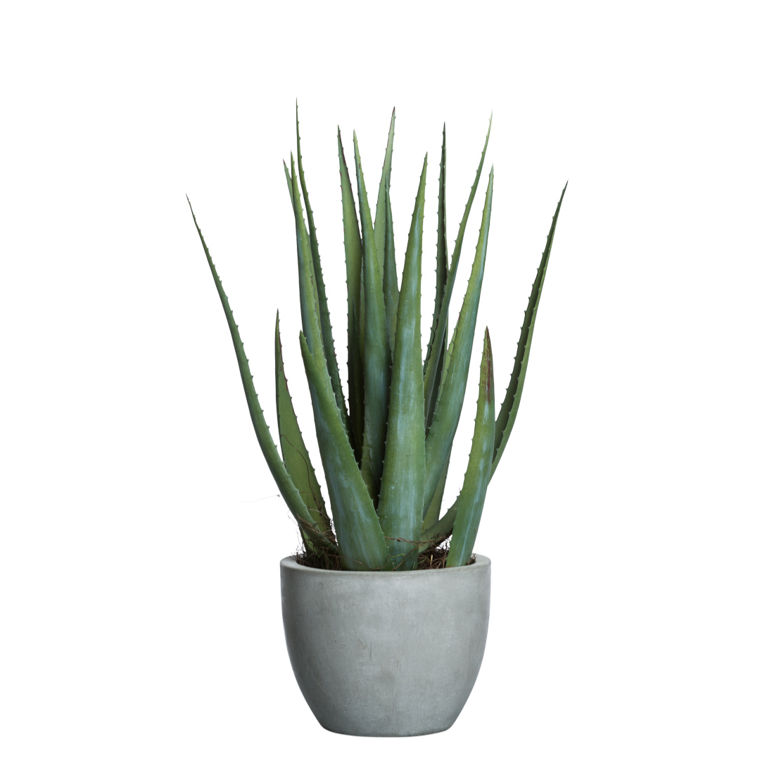 Artificial aloe plant with green spiky leaves in a modern gray pot on white background