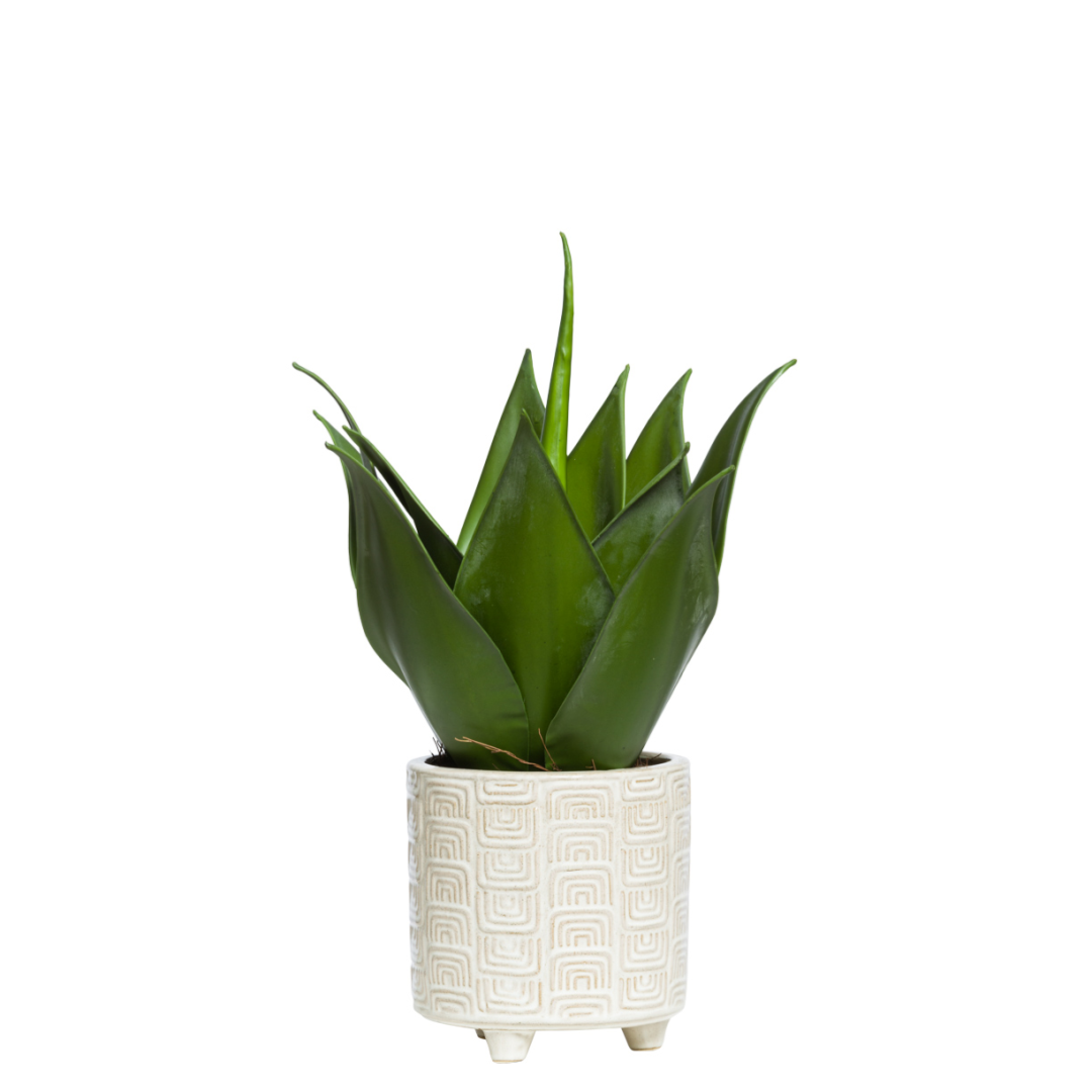 Artificial aloe plant in textured white ceramic pot on white background