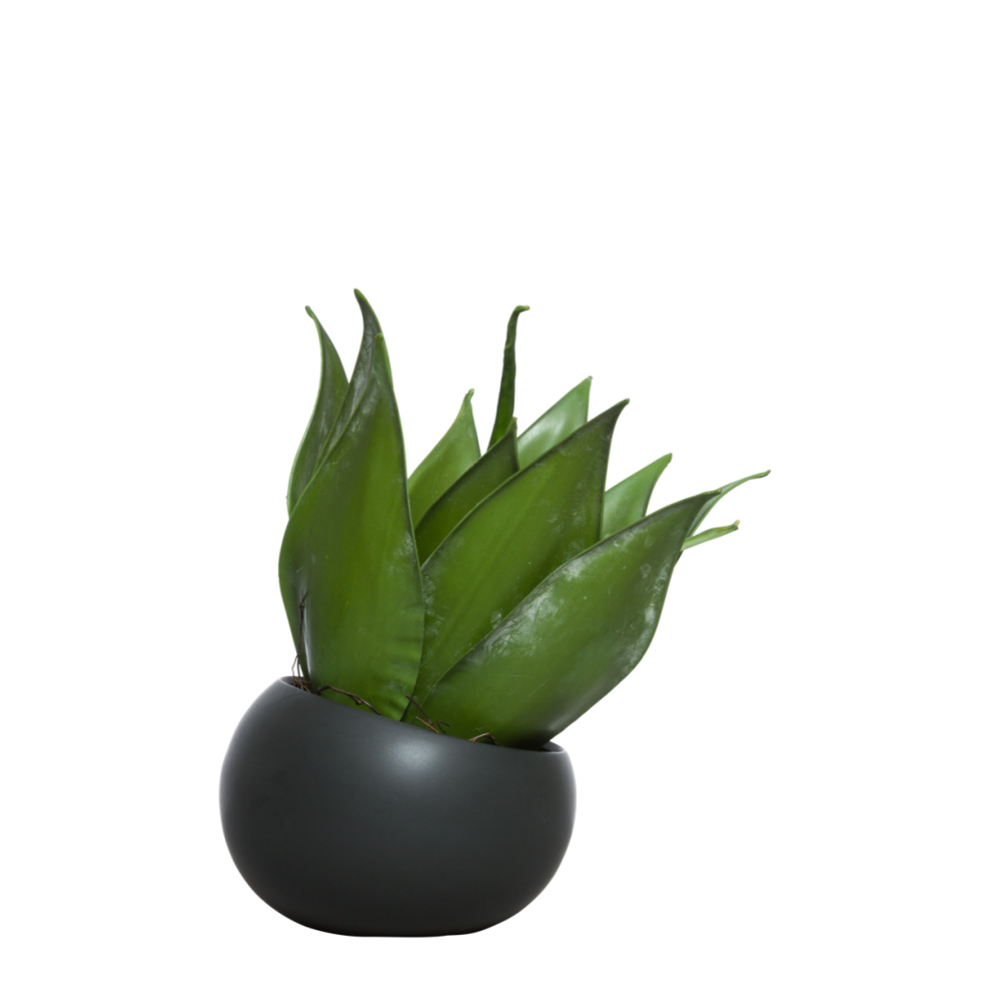 Artificial aloe plant in round black pot, realistic green leaves, modern decor accent