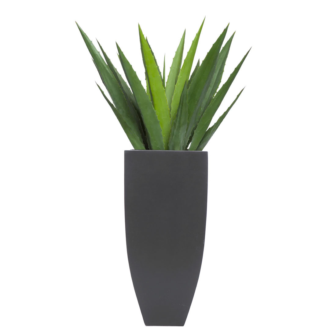 Artificial aloe plant in tall black modern planter, green spiky leaves, white background