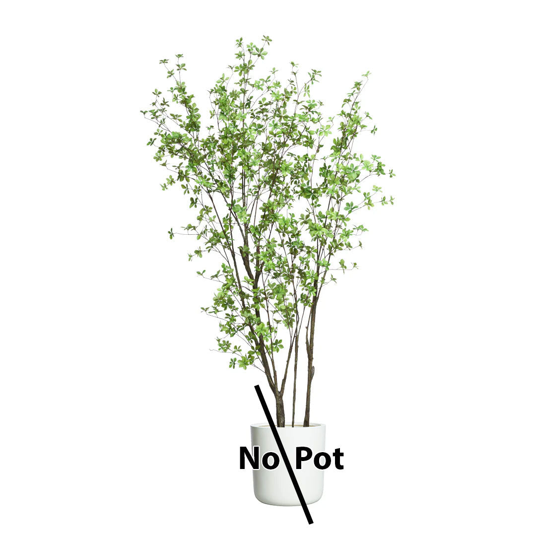 Artificial Asian birch branches with green leaves on white, pot not included