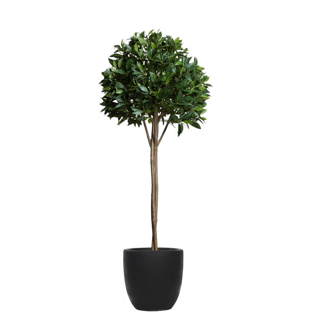 Bay leaf topiary artificial plant in a sleek black pot on a white background