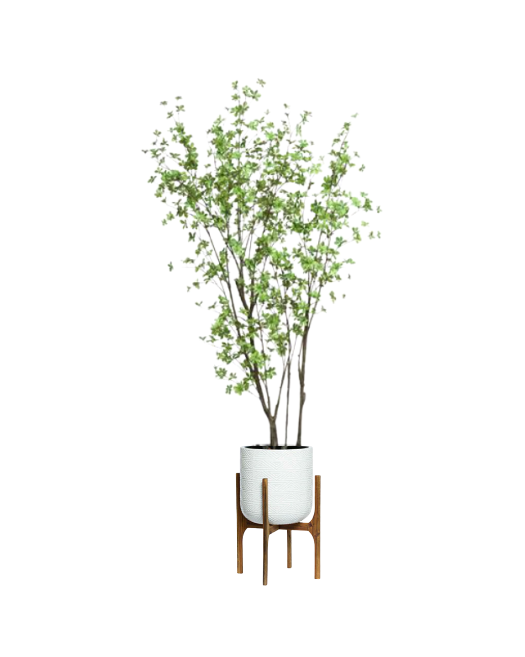 Artificial birch tree with green leaves in a textured white pot on wooden stand