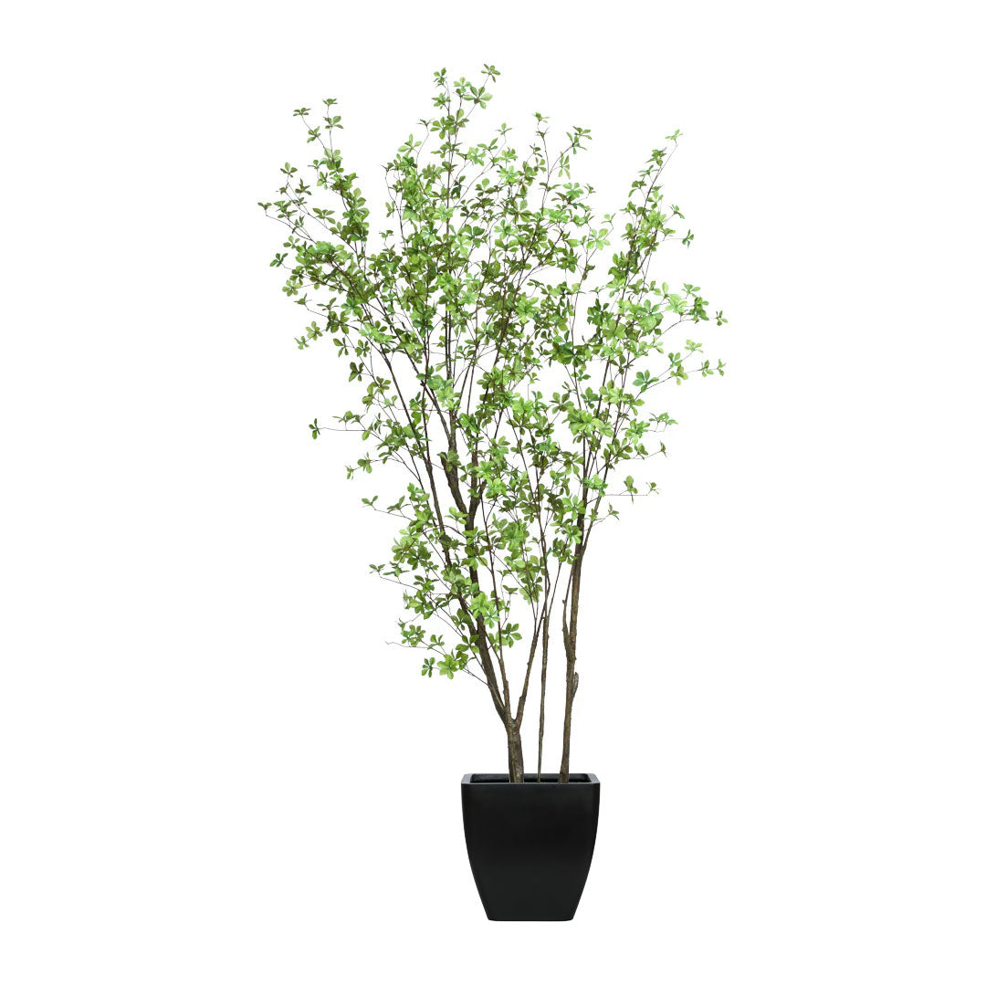 Artificial birch tree in black square planter with realistic green leaves, indoor décor