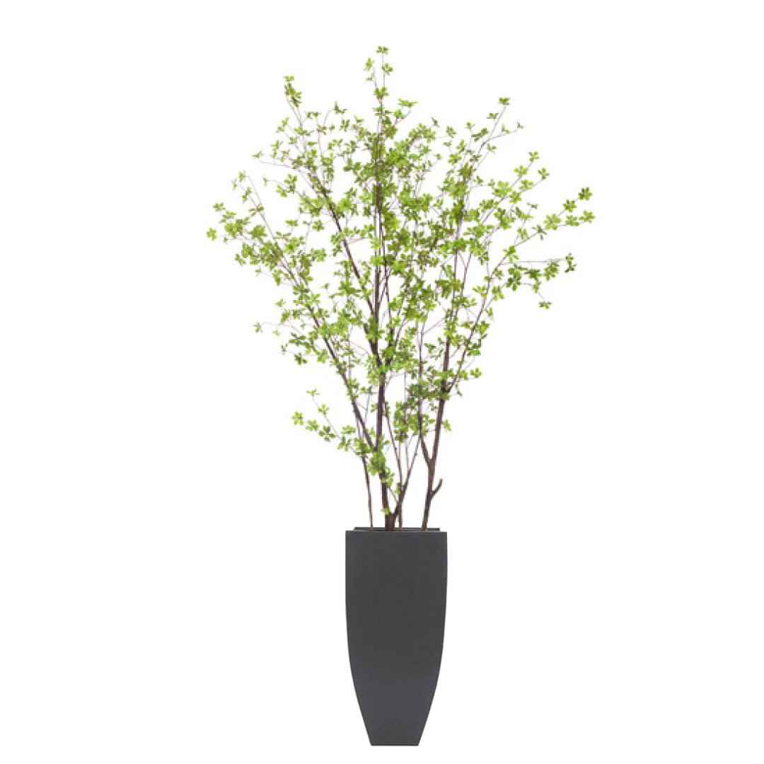 Artificial birch tree with green leaves in a tall black planter on white background