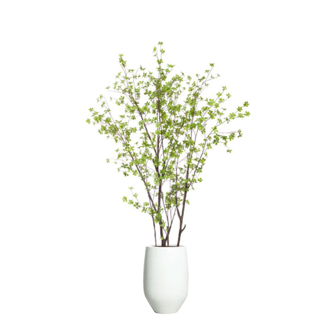 Artificial birch tree with green leaves in a modern white tapered planter