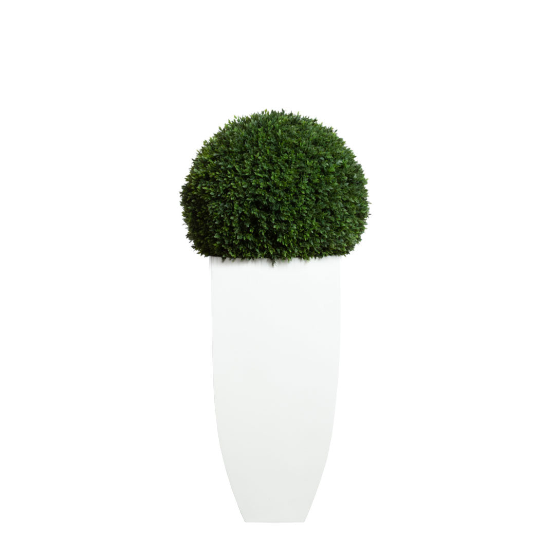 Artificial boxwood ball topiary in a tall white planter, isolated on white background