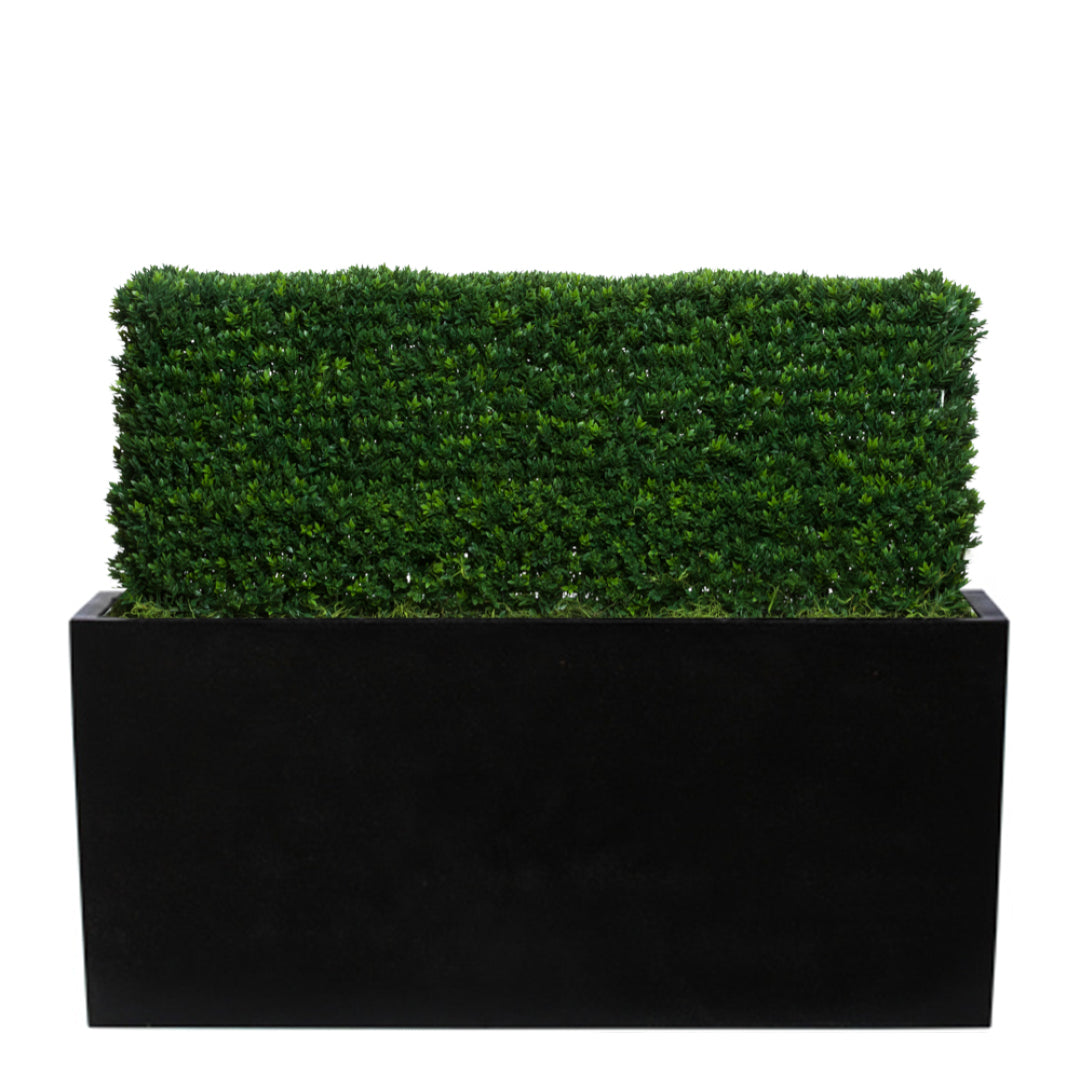 Artificial boxwood hedge in rectangular black planter, realistic green foliage
