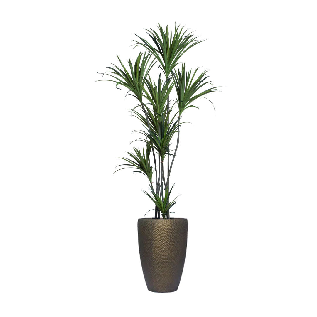 Artificial Dracaena plant with green leaves in a textured bronze planter on white background