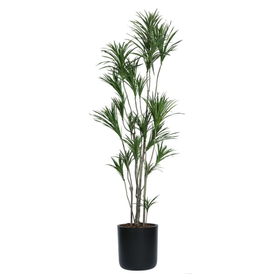 Artificial dracaena plant with tall green leaves in a modern black pot, white background