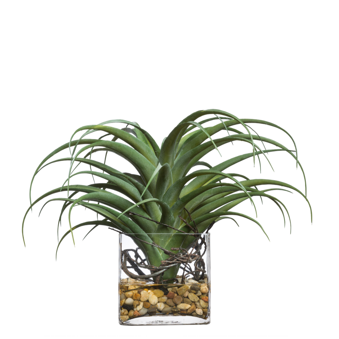 Faux air plant in glass vase with decorative stones and roots, modern botanical decor