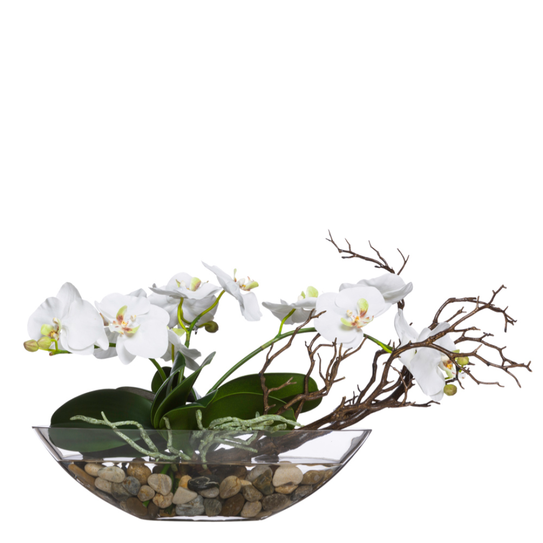 White phalaenopsis orchid arrangement with manzanita branches in glass bowl with stones