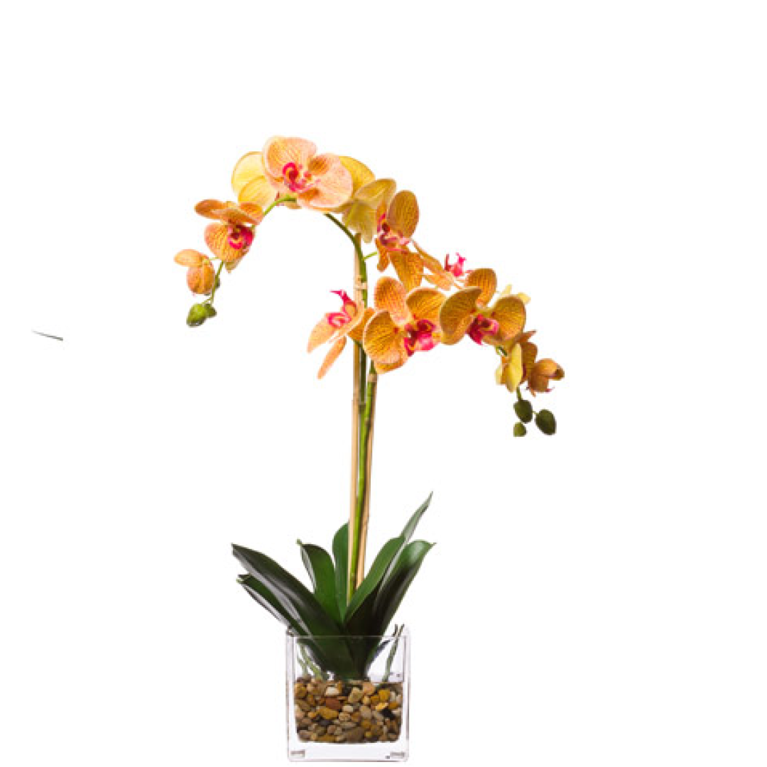 Yellow and pink artificial Phalaenopsis orchid in a square glass vase with stones