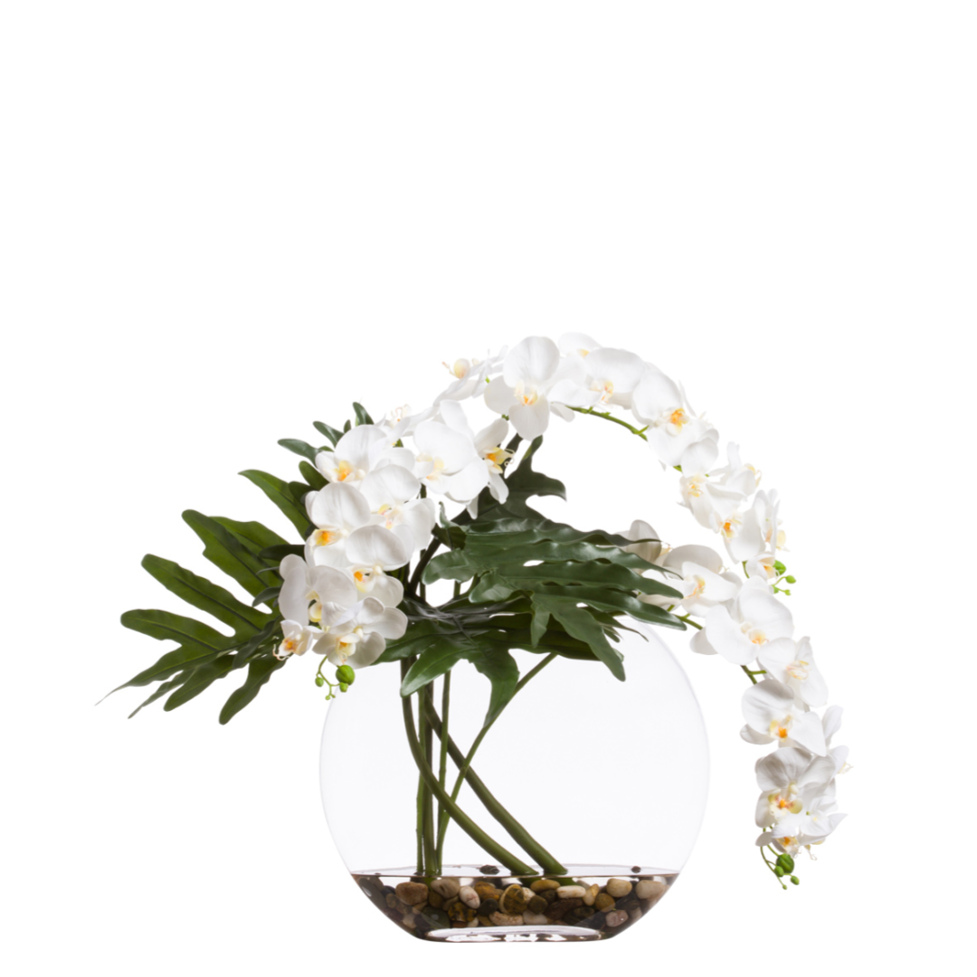 White phalaenopsis orchid arrangement in round glass vase with green leaves and pebbles
