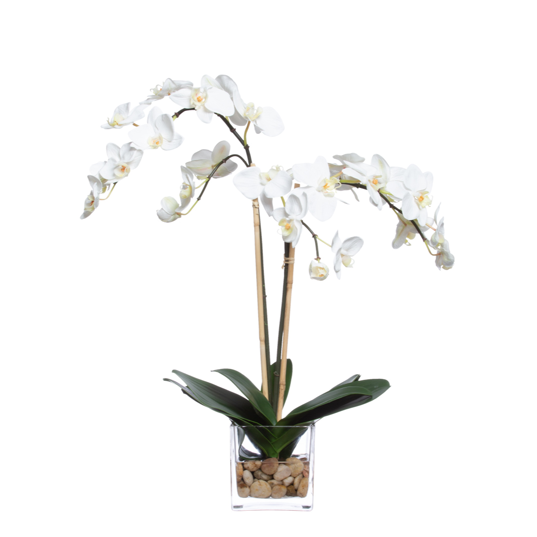 White phalaenopsis orchid arrangement in a glass vase with stones, artificial plant decor