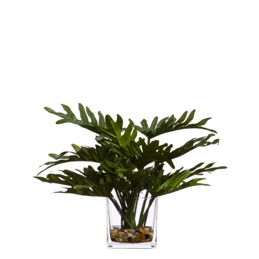 Artificial Philodendron Selloum in a clear glass vase with decorative pebbles