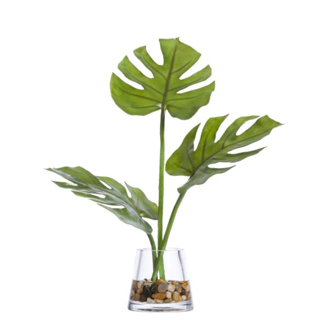 Artificial split leaf philodendron plant in glass vase with decorative pebbles