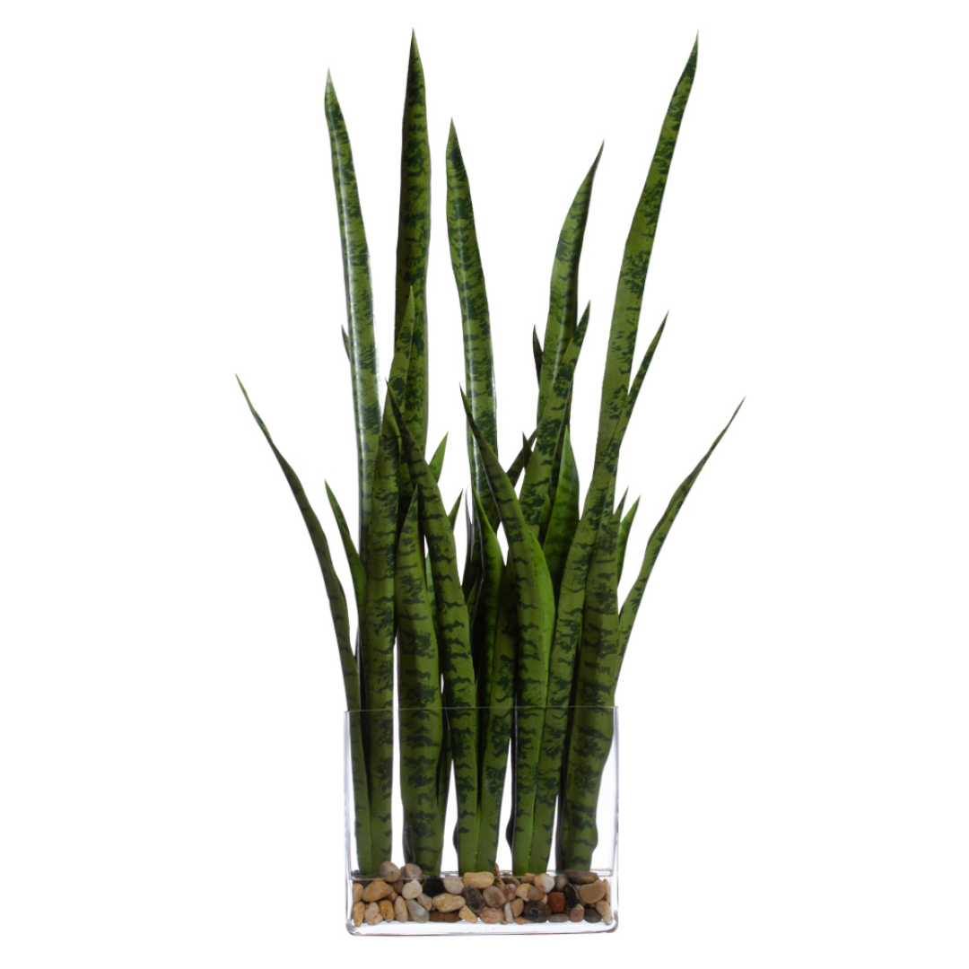 Artificial sansevieria plant in clear planter with decorative rocks, realistic greenery decor