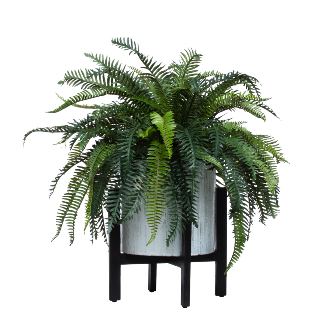 Realistic artificial fern plant in a modern white pot with black stand, isolated on white