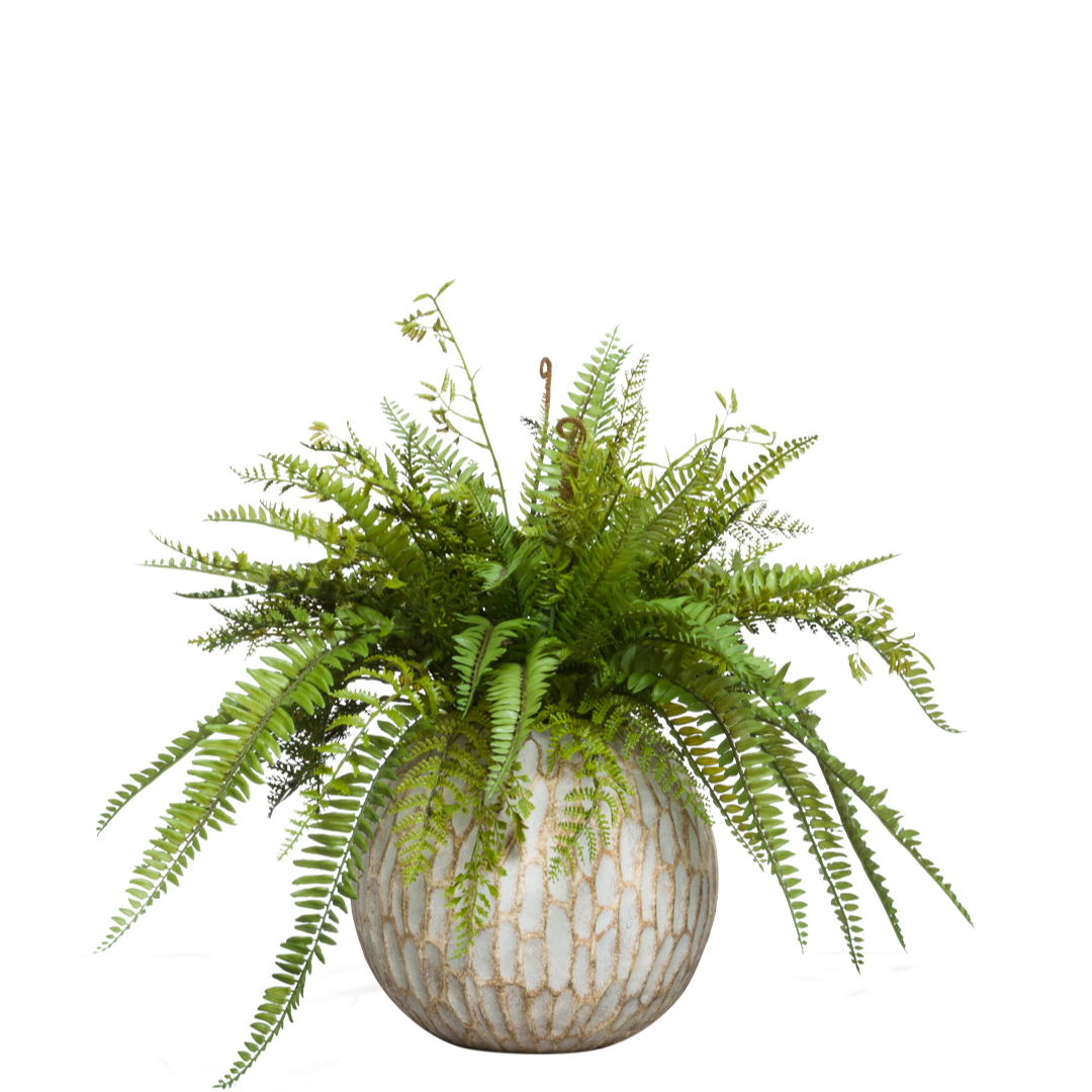 Artificial mixed fern arrangement in round textured ceramic pot