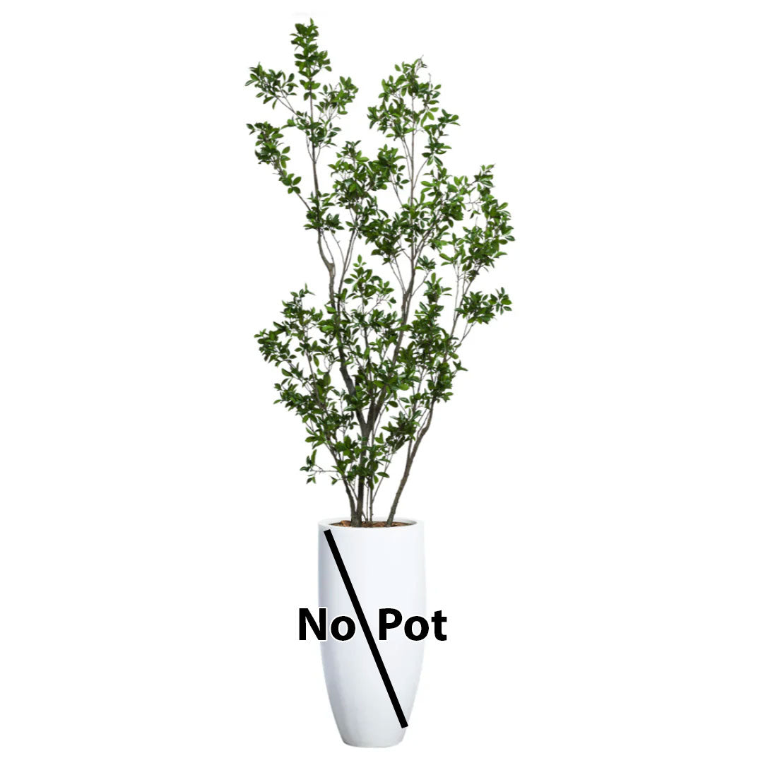 Artificial ficus Asian tree with green leaves, shown without a pot against white background