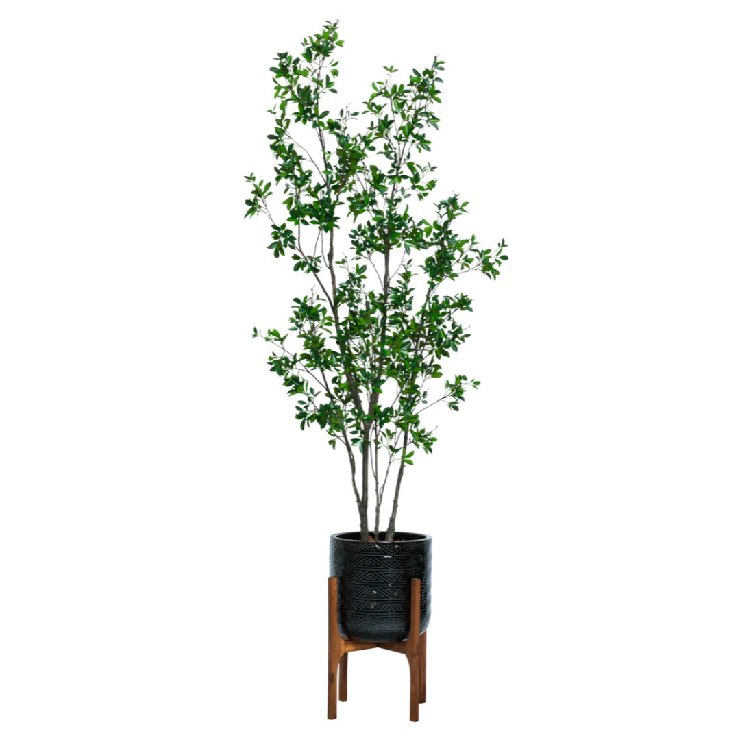 Artificial ficus plant in textured black pot with wooden stand on white background