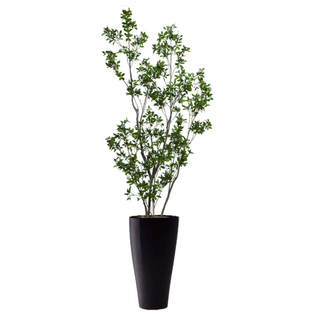 Artificial ficus tree with lush green leaves in a tall black planter on white background