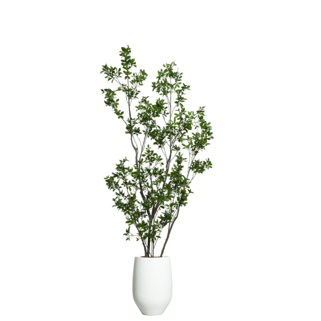 Artificial ficus tree with green leaves in a modern white tapered planter
