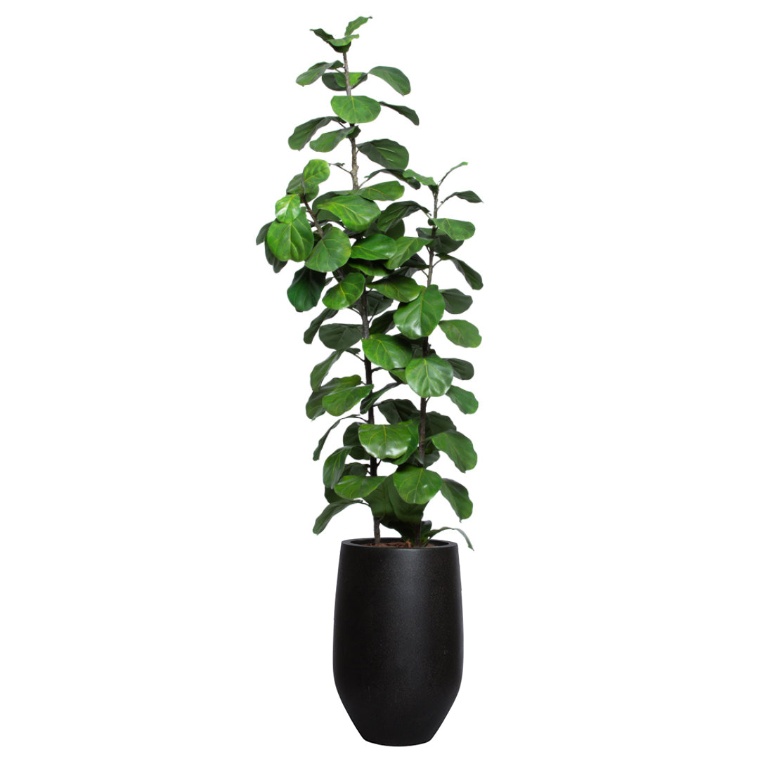 Artificial fiddle leaf fig tree with lush green leaves in a tall black planter