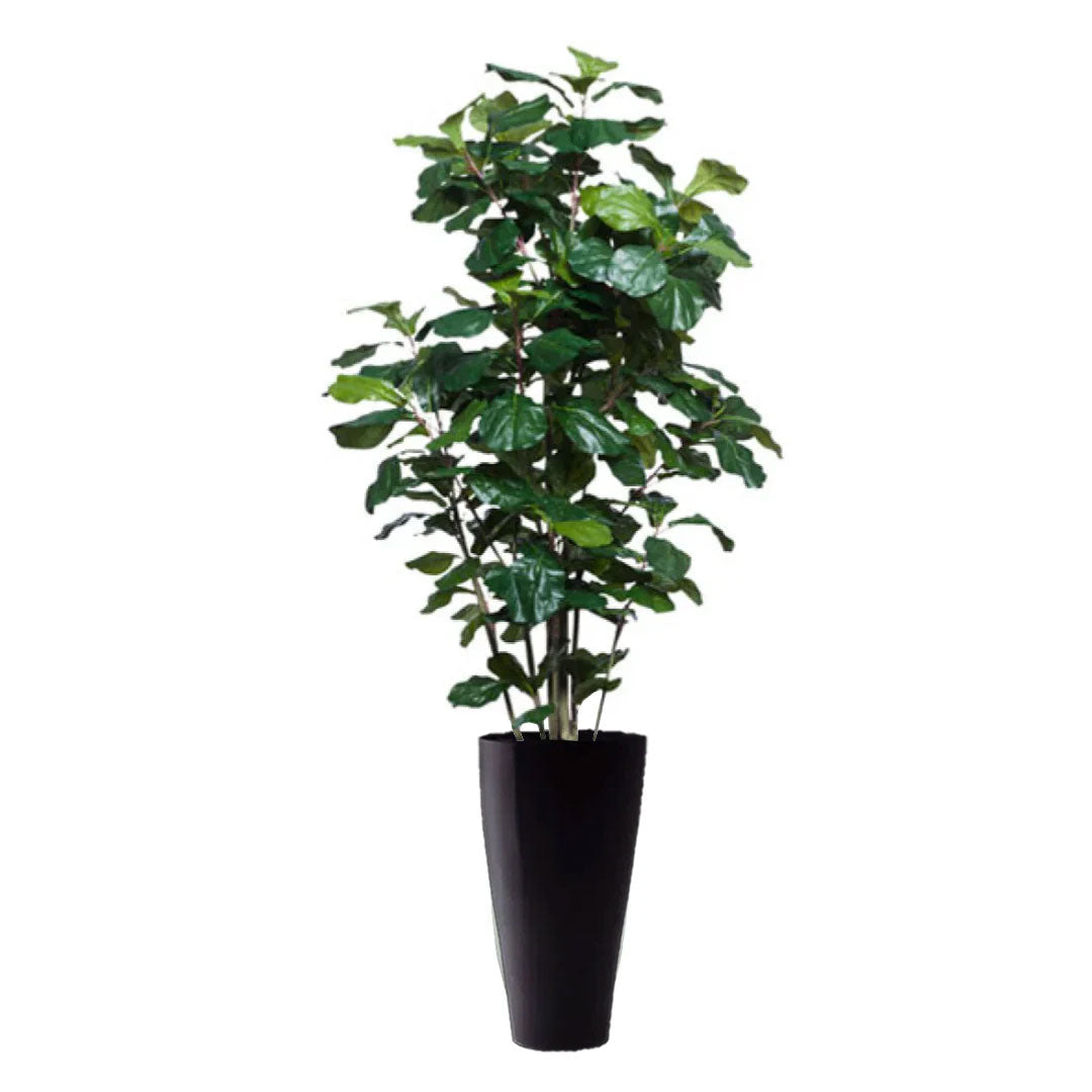 Artificial fiddle leaf fig tree in tall black planter against white background