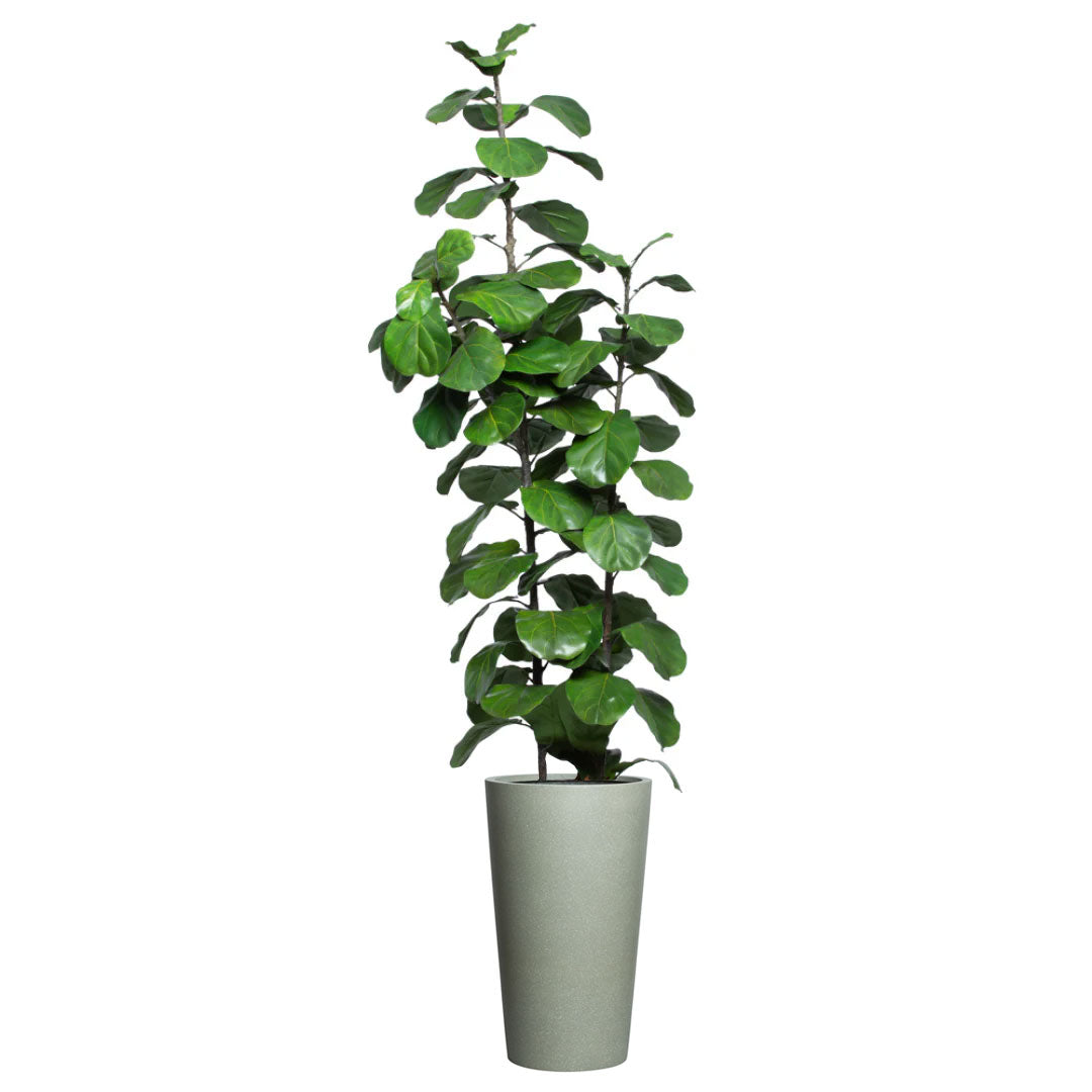 Artificial fiddle leaf fig tree in tall grey planter, realistic green foliage