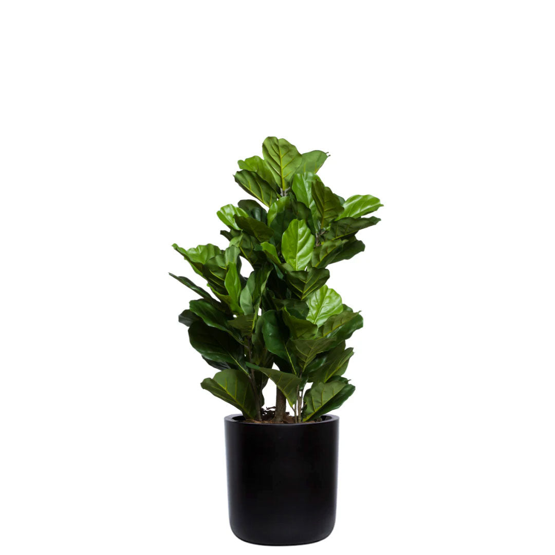 Artificial fiddle leaf fig plant with glossy green leaves in a modern black cylinder pot