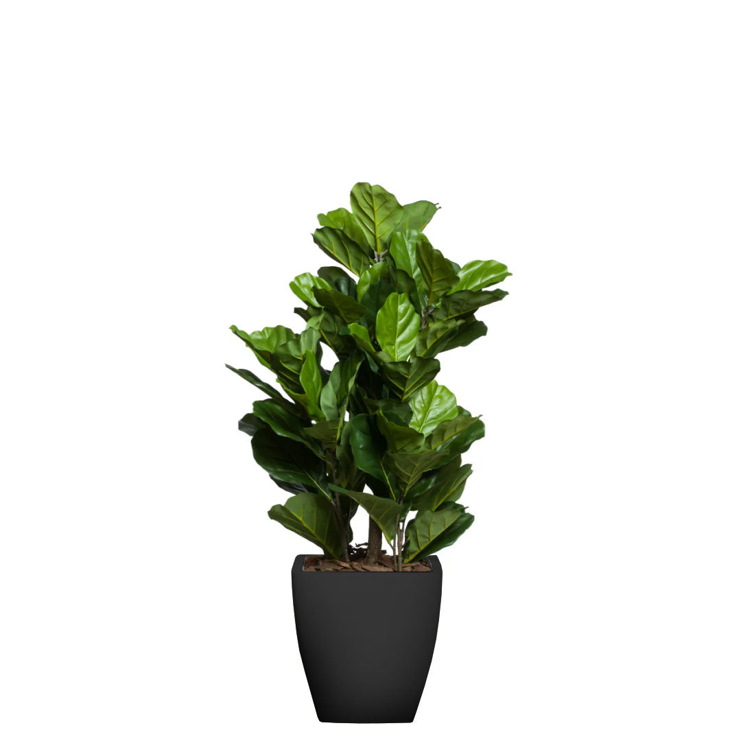 Artificial fiddle leaf fig tree in a modern black planter with lush green leaves