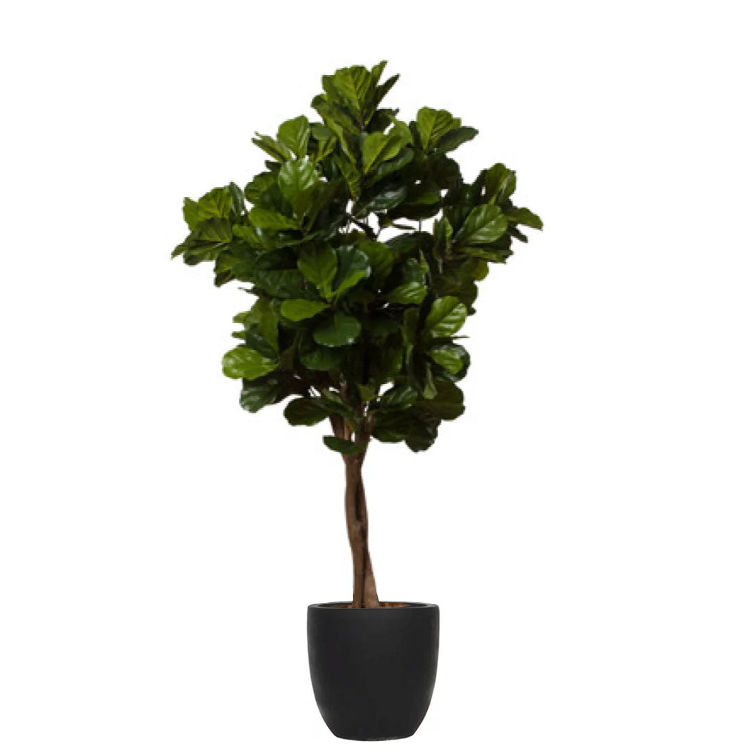 Artificial fiddle leaf fig tree in black tapered pot with lush green leaves